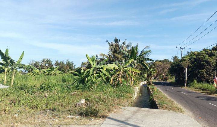 Tanah Bali Di Pinggir Jalan Dekat Dengan Pantai Pering 1