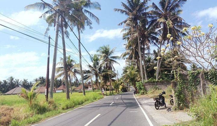 For Sale Cheap Land with Rice Field View, Roadside 2