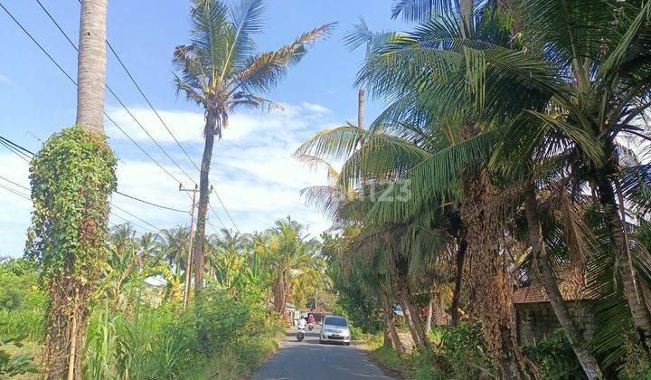 FOR SALE CHEAP LAND NEAR BALI BEACH & TOURISM AREA (C) 2