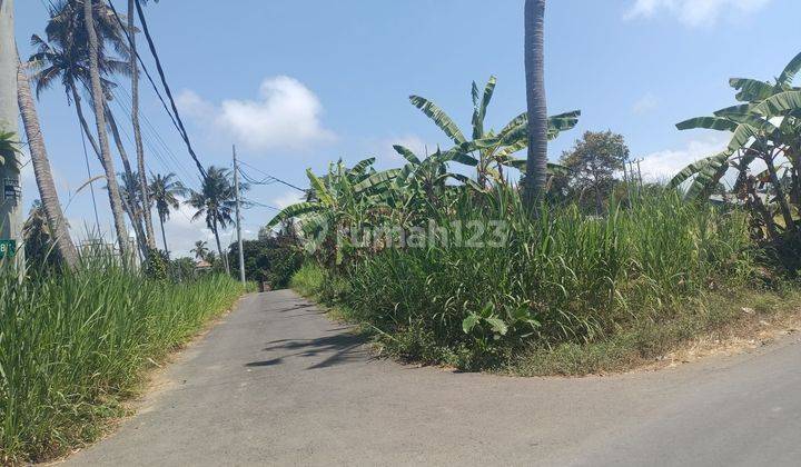 Cheap Land for Sale Bali Roadside Tourism Area 2