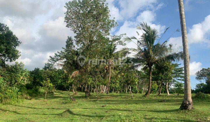 Cheap Land for Sale Tabanan Bali 2