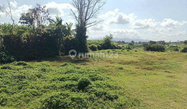 Dijual Murah Tanah Bali View Gunung, Sawah Dan Pantai Serta Ada Sungai 1