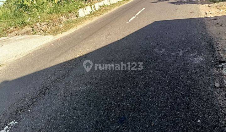 Dijual Tanah Murah Pinggir Jalan Dan Dekat Pantai Pering Bali 2