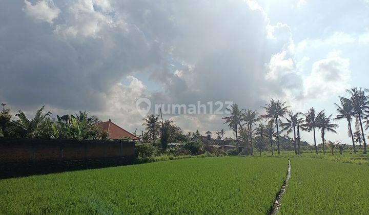 Dijual Lahan Bali Murah Global Pinggir Jalan + View Sawah 2