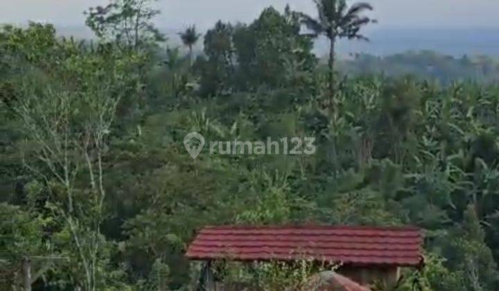 Dijual Tanah Murah View Gunung Dan Dataran Tinggi Tabanan 2