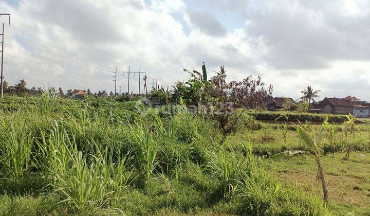 Dijual Murah Tanah Bali View Sawah + Surat2 2