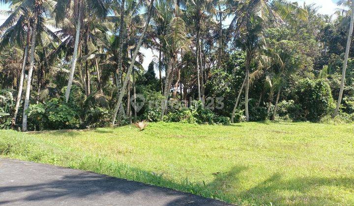 Dijual Murah Tanah Bali View Sawah + Sunyi 1