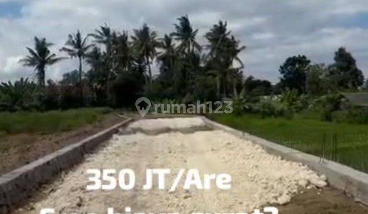 Dijual Tanah Murah Bali Dekat Pantai (kavlingan) + Include Biaya & Shm A.n Pembeli 2