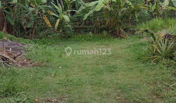 For Sale Cheap Land View River Central City 1