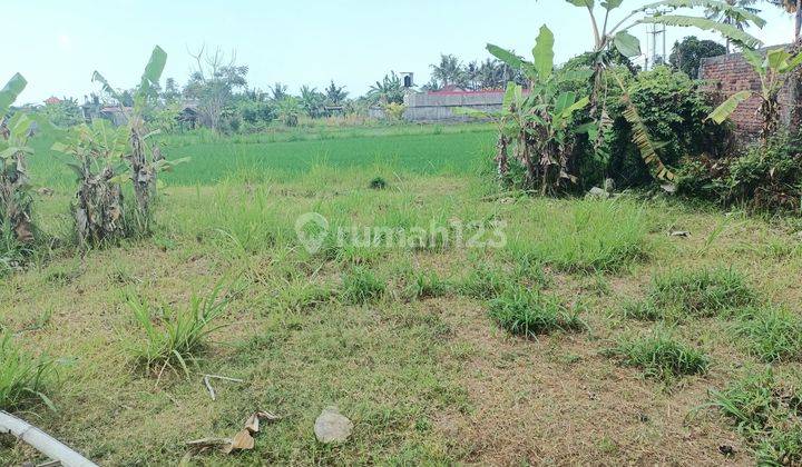 Dijual Murah Tanah Bali View Sawah 1