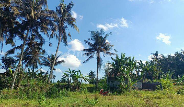 Bali Land For Sale Nature View And Small River 2