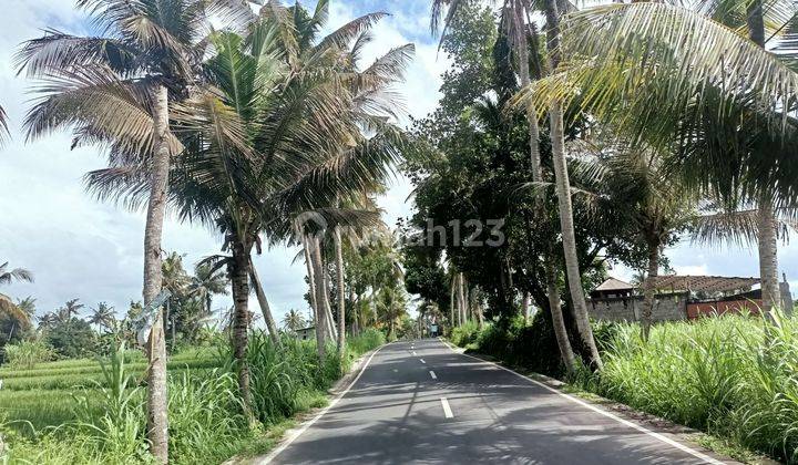 For Sale Cheap Land with Rice Field View, Roadside 1