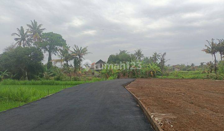 Dijual Tanah Murah Bali Dekat Pantai (kavlingan) + Include Biaya & Shm A.n Pembeli 1