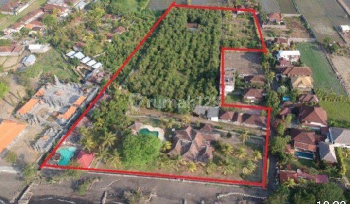 Dijual Tanah + Villa Murah Los Pantai Lovina Singaraja Bali 2