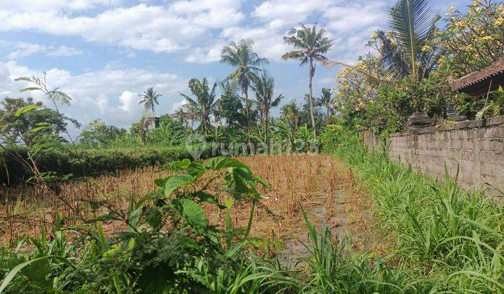 FOR SALE CHEAP LAND NEAR BALI BEACH & TOURISM AREA (A) 2