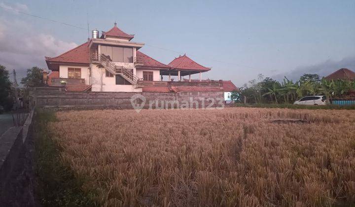 For Sale Cheap LAND BALI Sukowati 1