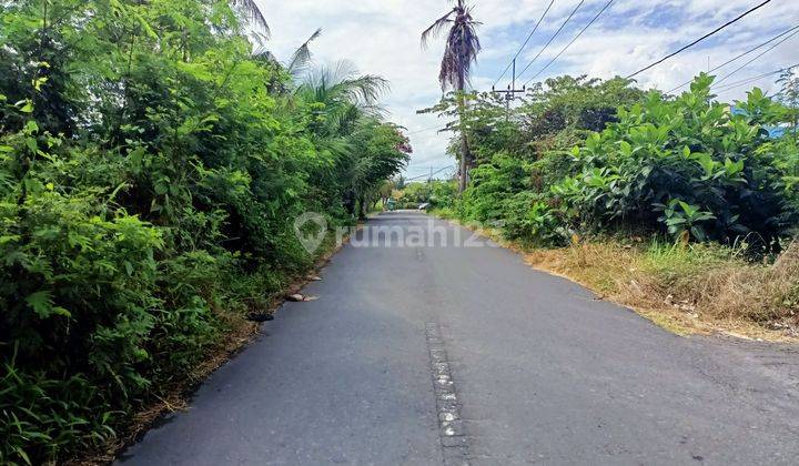 FOR SALE CHEAP LAND NEAR BALI BEACH & TOURISM AREA (C) 1