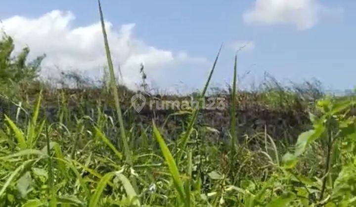 Disewakan Lahan Ubud  1
