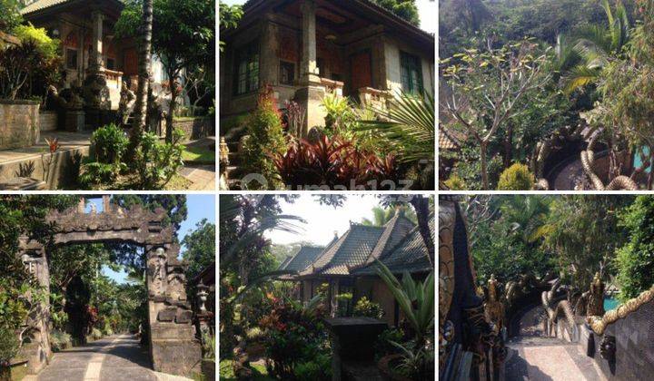 Dijual Murah Tanah Ubud Bali  + Homestay  2