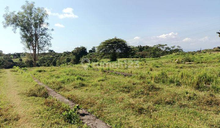 Dijual Murah Tanah Bali View Gunung, Sawah Dan Pantai Serta Ada Sungai 2