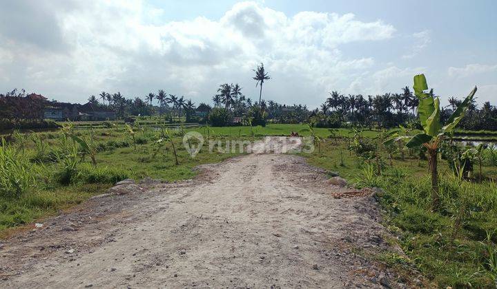 Di Jual Murah Tanah Bali View Sawah 2