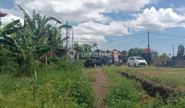 Dijual Tanah Murah Area Sukawati Gianyar 1