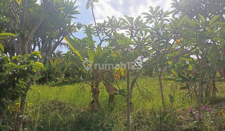 FOR SALE CHEAP LAND NEAR BALI BEACH & TOURISM AREA (B) 2