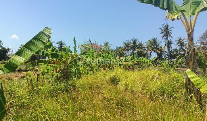 For Sale Cheap Land View Rice Fields BALI 2