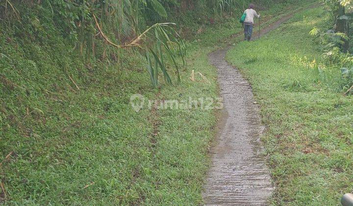 Dijual Murah Tanah Dataran Tinggi Singaraja Bali 2