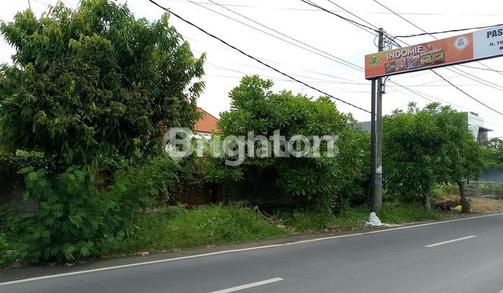 TANAH PREMIUM DI JALAN UTAMA TUKAD BADUNG, RENON TANAH PREMIUM DI JALAN UTAMA TUKAD BADUNG, RENON
