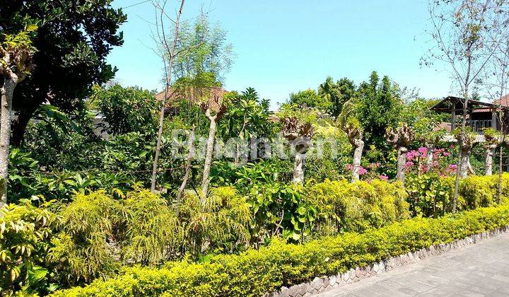 LAND READY TO BUILD SUITABLE FOR BUSINESS ON BY PASS NGURAH RAI TOHPATI STREET 2