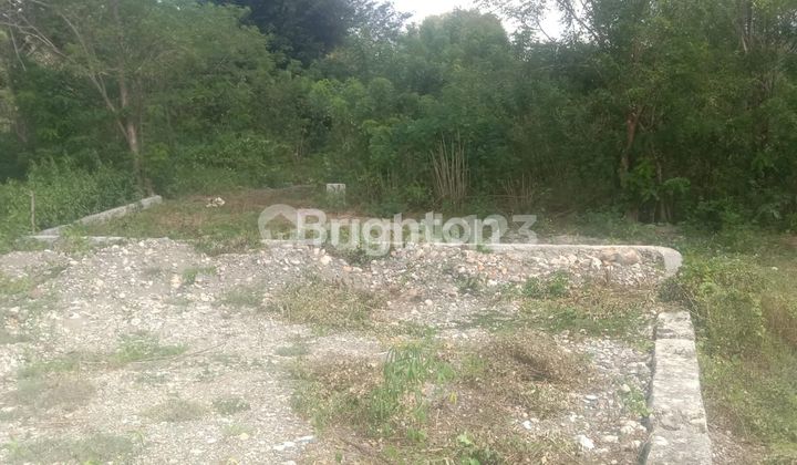  TANAH STRATEGIS DI KEFA MENANO – NTT  1