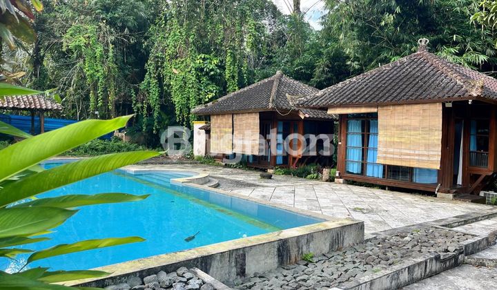  VILLA ALAMI DENGAN CABANA ROOM – PAYANGAN, UBUD 