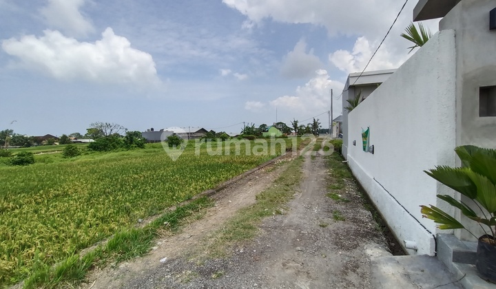 Modern 3BR Villa with Rice Field View – Kediri Tabanan Rent Villa near Buwit Kediri Tabanan - Tabanan Modern 3BR Villa with Rice Field View – Kediri Tabanan Rent Villa near Buwit Kediri Tabanan - Tabanan