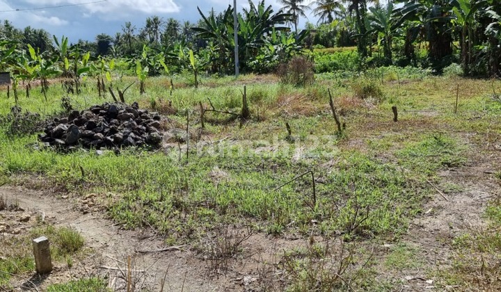 Strategic Land for Sale - Pering, Gianyar Land for SalePering Gianyar Main Road - Gianyar Strategic Land for Sale - Pering, Gianyar Land for SalePering Gianyar Main Road - Gianyar
