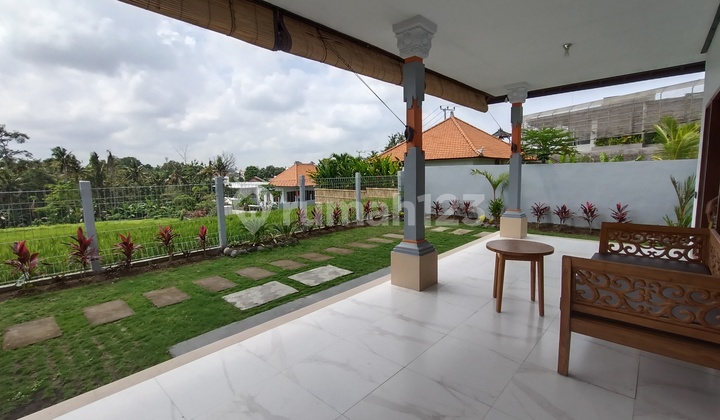 Rumah Asri Bernuansa Sawah Dekat Pantai Nyanyi – Full Furnished. Sewa Rumahjalan Pantai Nyanyi Kediri Tabanan - Tabanan