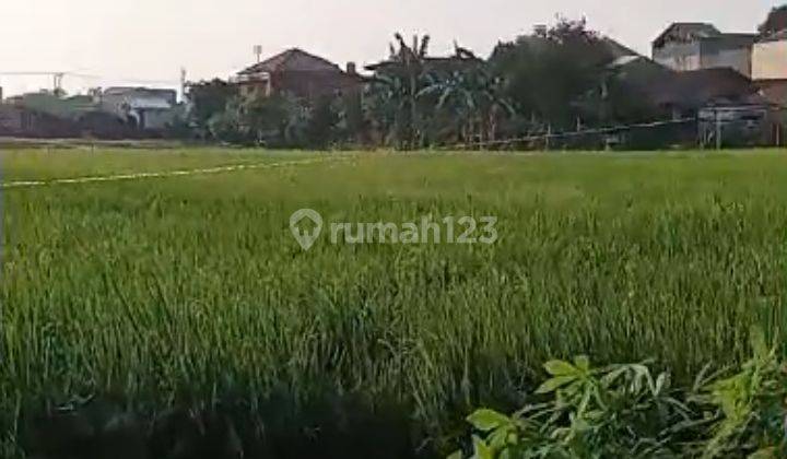 Tanah Murah Terletak Di Jalan Utama Tambun Selatan  1