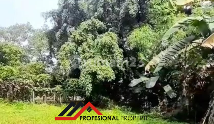 OLD VILLA CALCULATE EMPTY LAND VIEW SITU GINTUNG LAKE