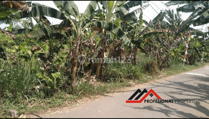 D Jual Murah Lahan Dibawah Harga Pasar 1