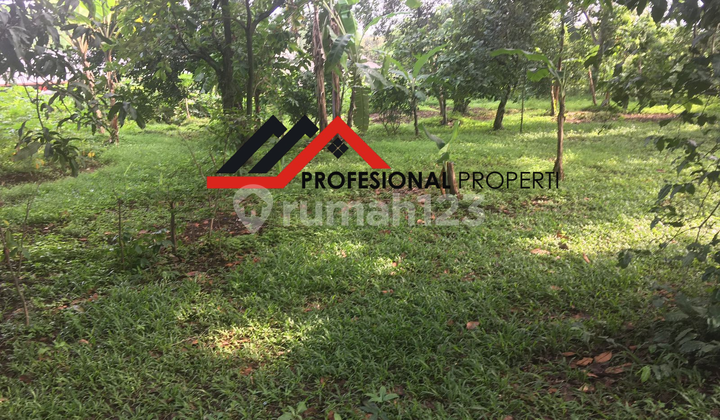 [ Di Jual ] Lahan kosong dan sangat strategis utk perumahan Cluster HARGA DI BAWAH PASARAN