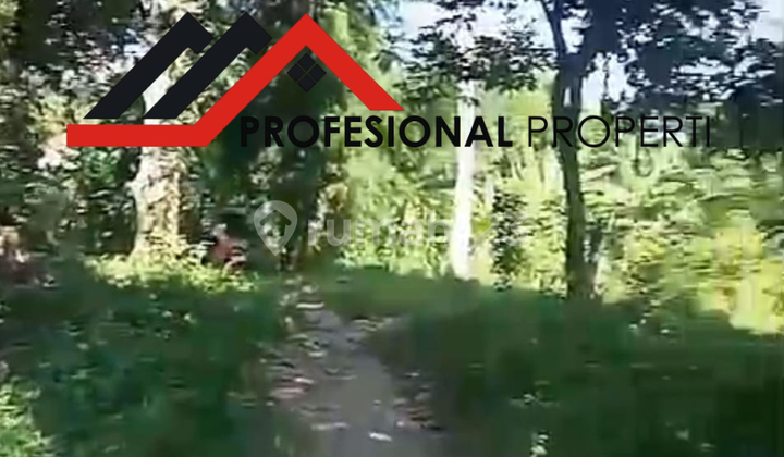  Di Jual Lahan Tanah Kosong Di Bawah Harga Pasaran