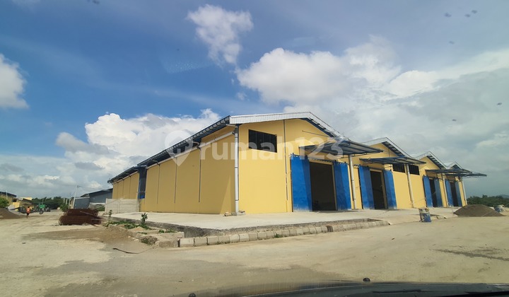 Gidang + Kantor Sudut Siap Pakai di Pergudangan Makassar Dekat Tol New Port dan Bandara Bebas Banjir Gidang + Kantor Sudut Siap Pakai di Pergudangan Makassar Dekat Tol New Port dan Bandara Bebas Banjir