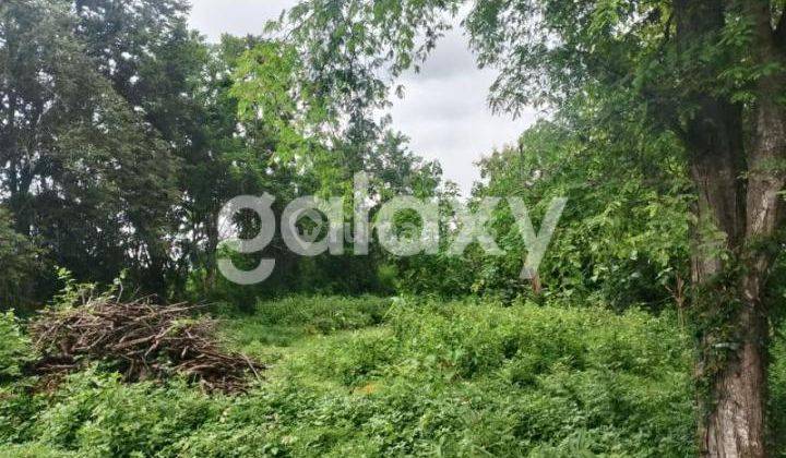 TANAH JATI MAS TEGAL BADENG BARAT NEGARA JEMBRANA, BALI 1