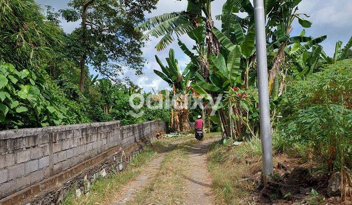 THE GREAT LAND OF UMALAS, KEROBOKAN, BADUNG, BALI 1