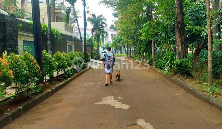 House for Sale in Sunter Comfortable Location in Front of a Park 2