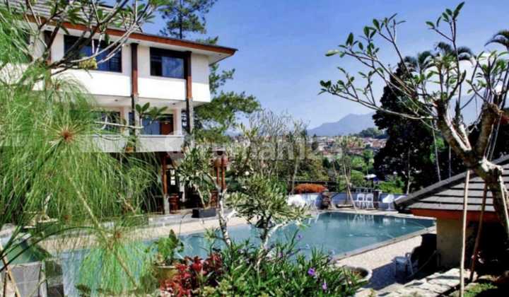 FOR SALE HOTEL 1 BUKIT RAYA PUNCAK LUAS AREA: 6.728 M² SPESIFIKASI BANGUNAN * 22 Unit Residence Vila ( 2 Kamar ) * 25 Unit Kamar Deluxe * 25 Unit Kamar Superior  * 2 Meeting Room Dengan Kapasitas 200 Orang * Kolam Renang  * Lapangan Terbuka  * Restauran  