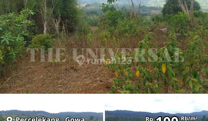 Dijual Tanah Kosong Paccelekang Gowa Lokasi Strategis SM  1