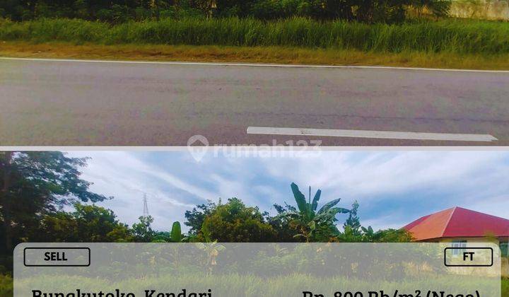Dijual Tanah Area Bungkutoko Kendari Strategis Nego FT  1