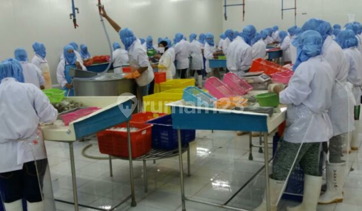 Dijual Gudang + Pabrik Poros KIMA 2 LT Siap Pakai Strategis MK 2