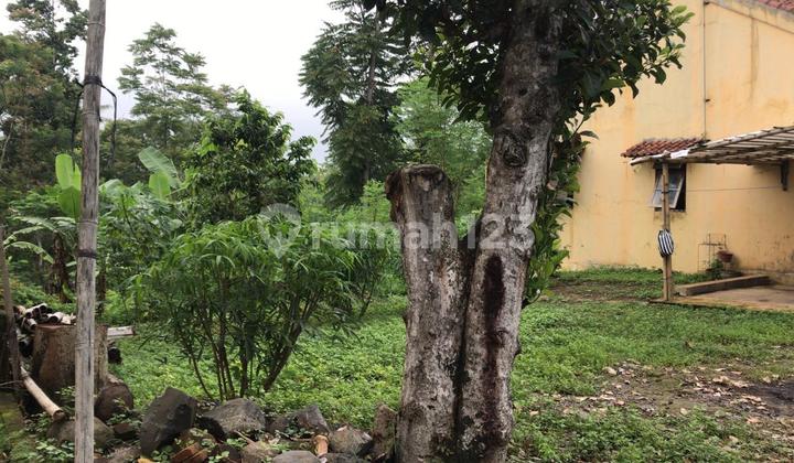 Tanah Strategis Jalan Pattimura Dekat Exit Tol Bugel Salatiga Jawa Tengah Peluang Investasi Menguntungkan